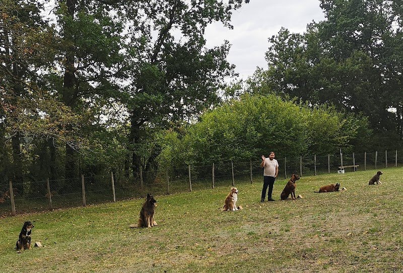 Club d'éducation canine de Riberac - photo 2