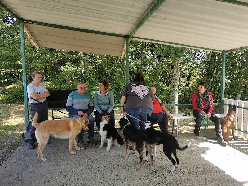 Club d'éducation canine de Riberac - photo 3