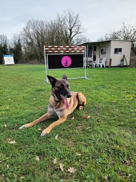 CLUB CANIN PONTOIS - photo 1