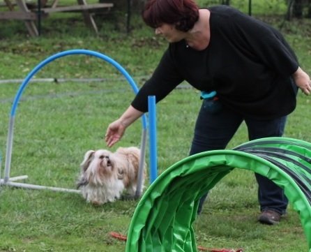 Ecole du Chien de Famille (Club Canin)