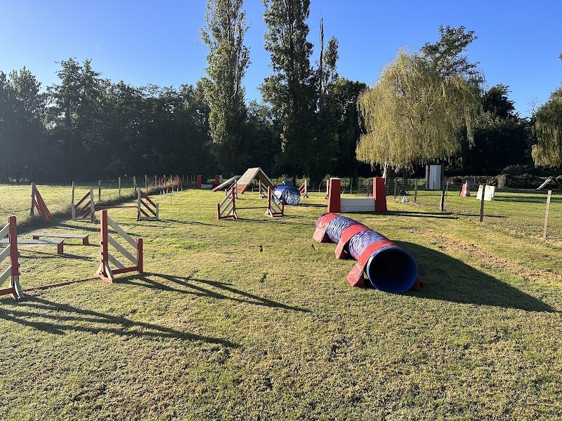 Animol Éduc Canin - photo 1