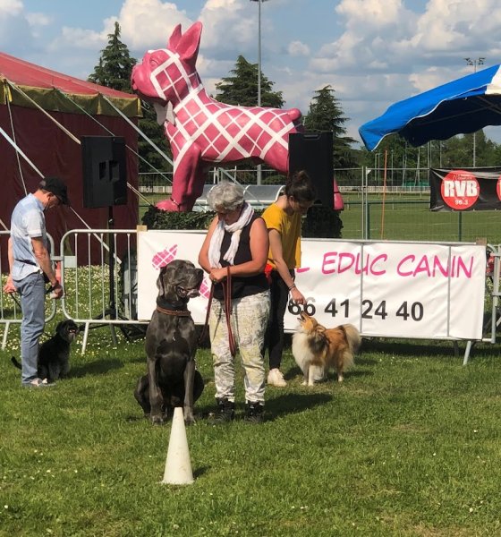 Animol Éduc Canin - photo 2