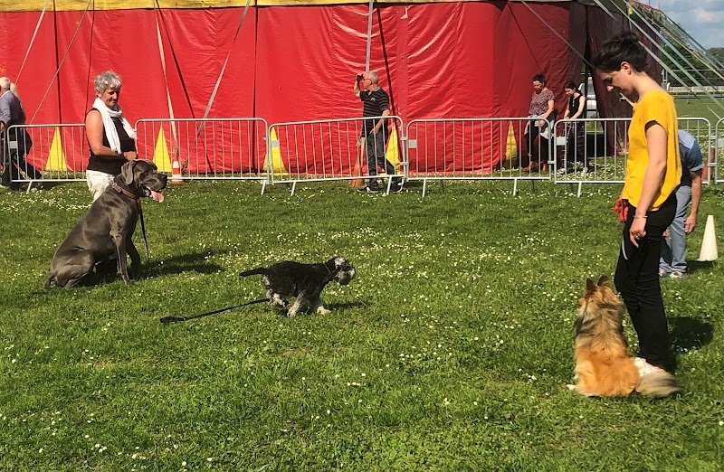 Animol Éduc Canin - photo 3