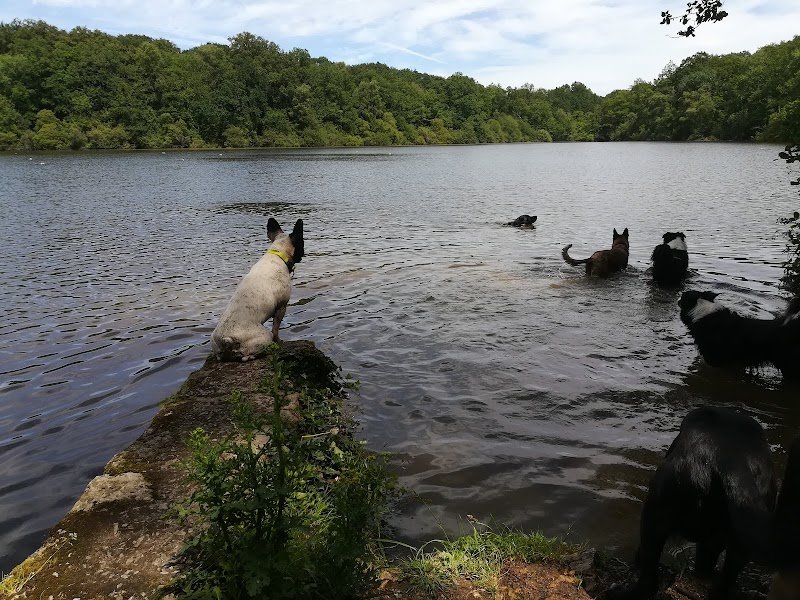 Point de Vue Canin - photo 1