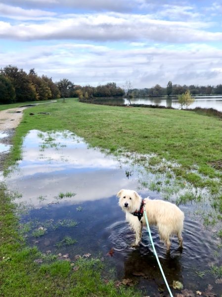 Point de Vue Canin - photo 3