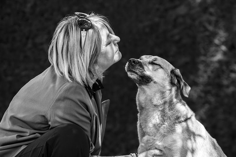 DOGGY LOV'S - photo 2