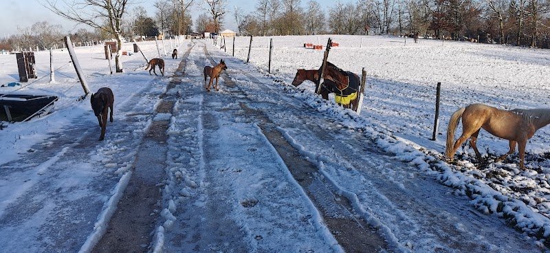 Animol Educ & Sport Canin - photo 2