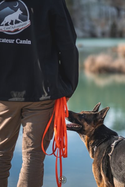 Cani'Adventures -Educateur Canin - photo 1