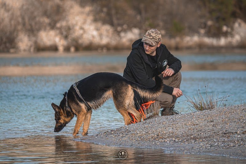 Cani'Adventures -Educateur Canin - photo 2