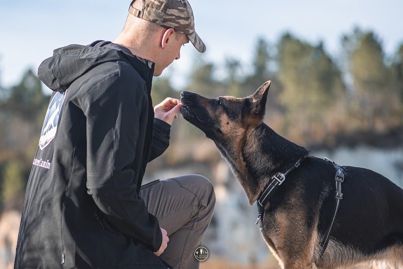 Cani'Adventures -Educateur Canin - photo 3
