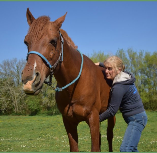Animoenergetic Ostéopathe Animalier Charente Dordogne Shiatsu