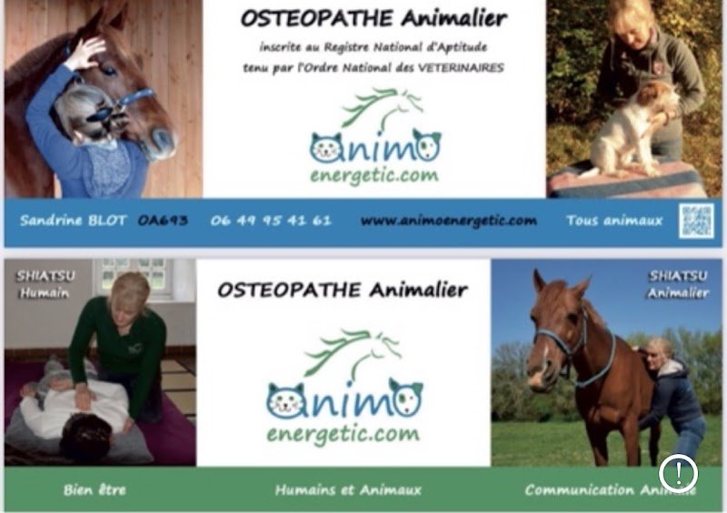 Animoenergetic Ostéopathe Animalier Charente Dordogne Shiatsu - photo 3