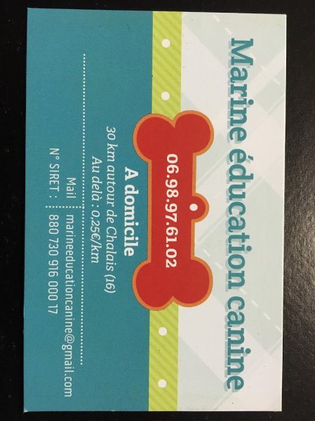 Marine Éducation Canine - photo 1