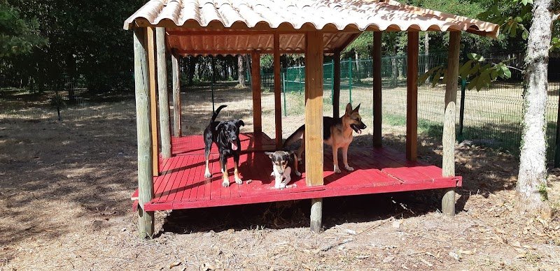 Educ'ilibre - Éducateur canin et comportementaliste