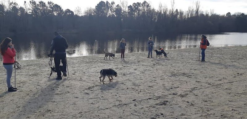 Educ'ilibre - Éducateur canin et comportementaliste - photo 3