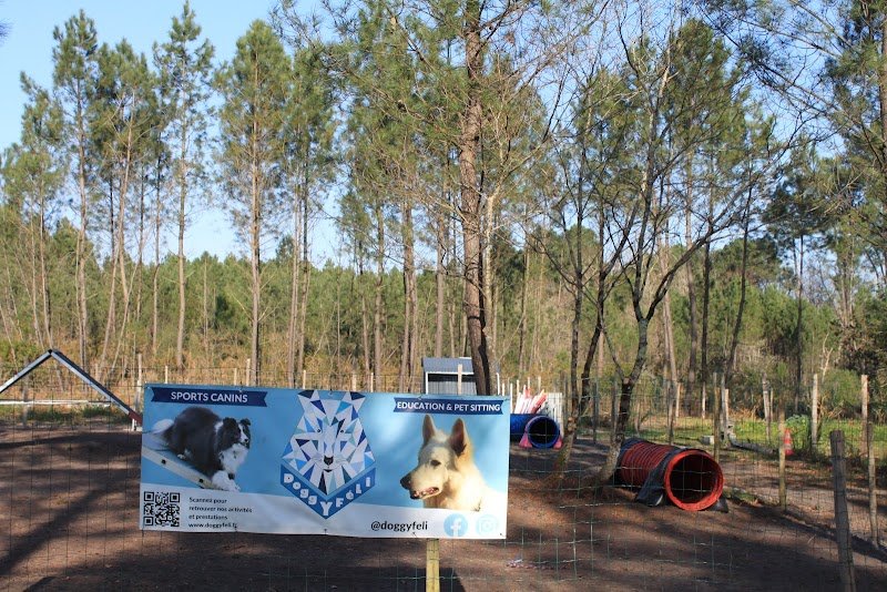 Doggyfeli - Education, sports canins et pension canine