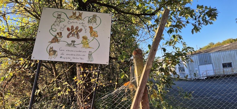 Club Canin Mélusin - photo 3