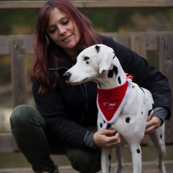 Centre d'éducation et comportement canin / Formation proLe Domaine Des Animaux - photo 3