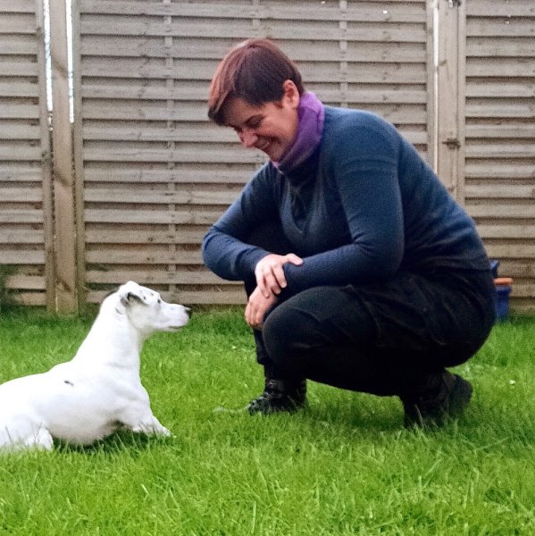 Serenity's Dog and Cat Éducation comportementaliste communication animal soins énergétiques