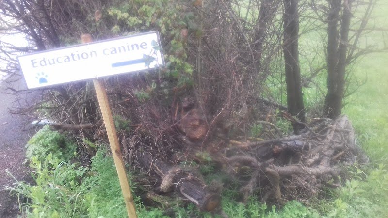 Copains Canins - photo 3