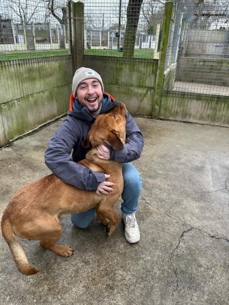 P&S DOG Education canine - photo 3