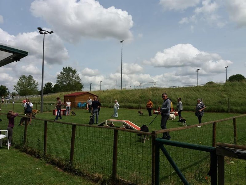 Club d'initiation et d'éducation canine de Cabariot