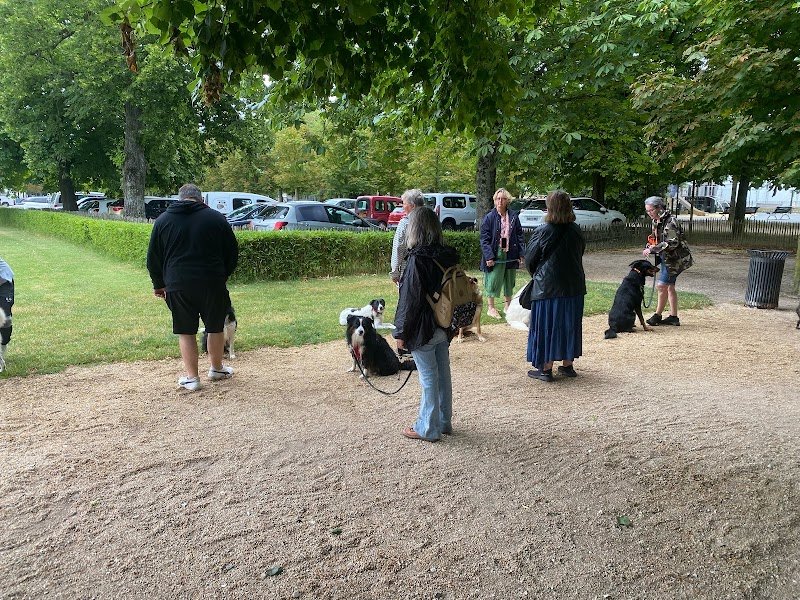 Patrick éducateur canin - photo 1