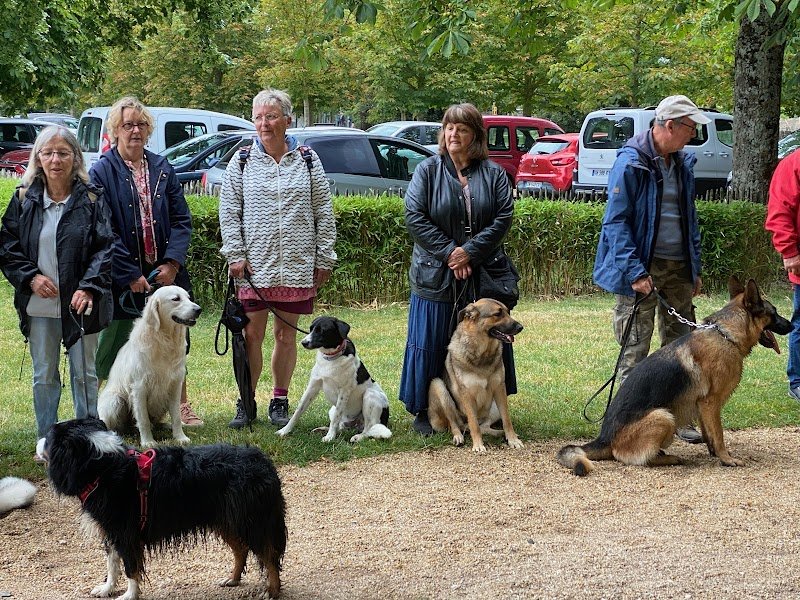 Patrick éducateur canin - photo 3