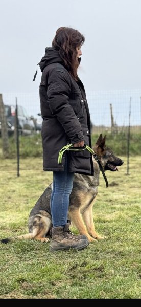 Clé en pattes éducateur comportementaliste canin - photo 3