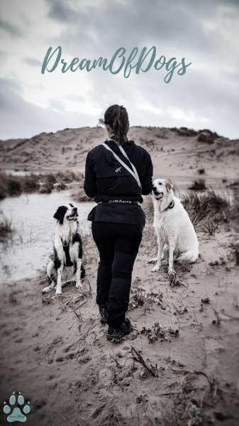 Dreamofdogs - photo 1