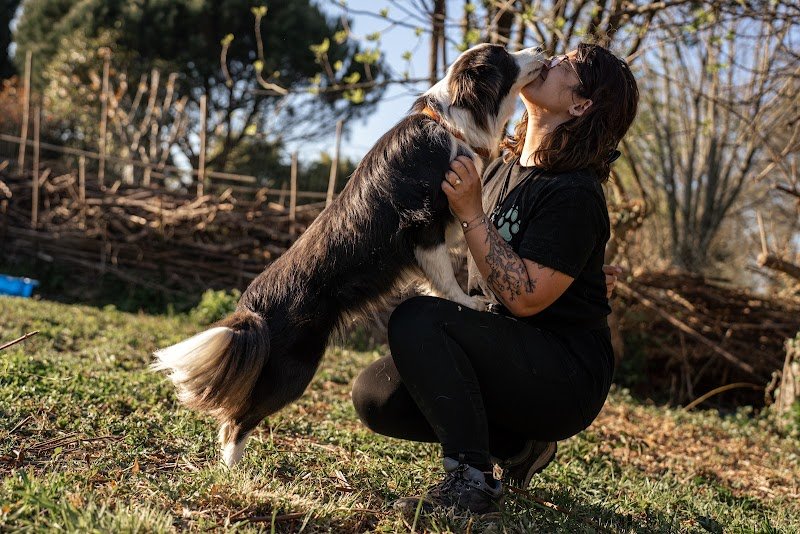 Dreamofdogs - photo 3