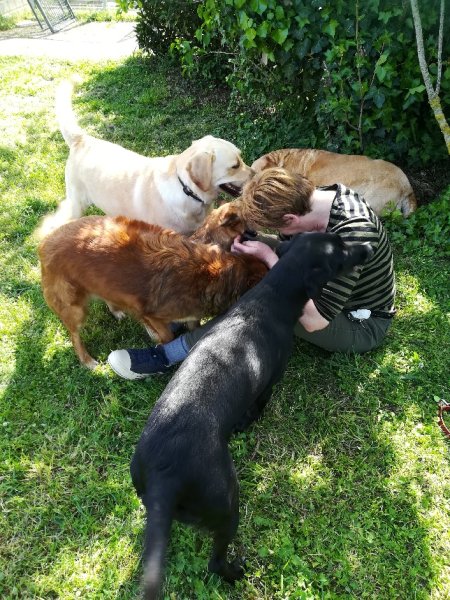 PENSION CANINE FELINE CHARENTE MARITIME ANIMOCEAN - photo 3