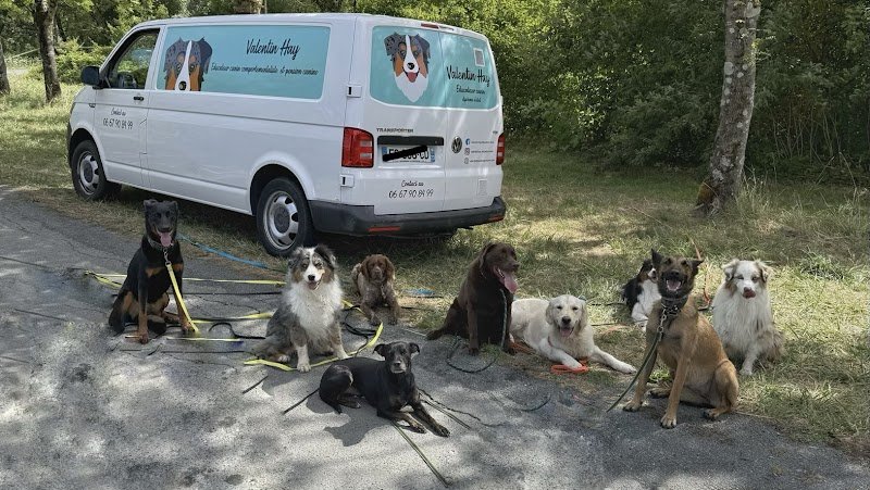 Valentin Hay Educateur Canin/ Pension Canine Le Langon