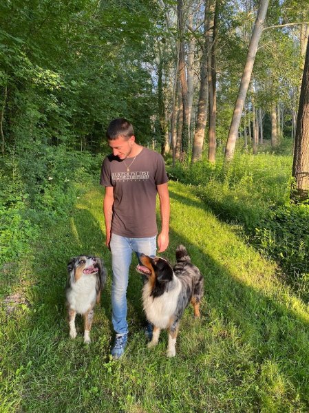 Valentin Hay Educateur Canin/ Pension Canine Le Langon - photo 2