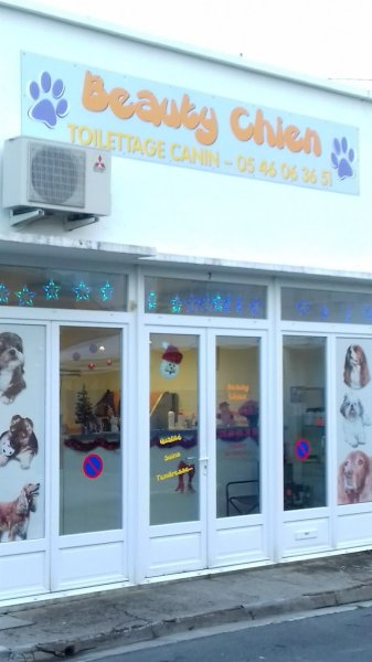 Beauty Chien - photo 3