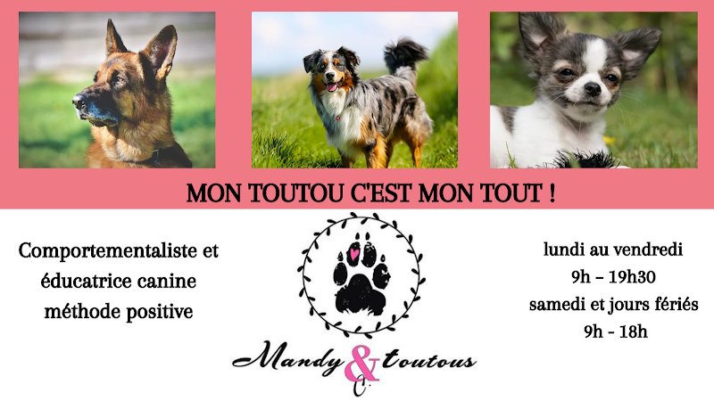 Mandy C. Toutous - Educateur et comportementaliste canin sur Niort, La Rochelle et ses alentours