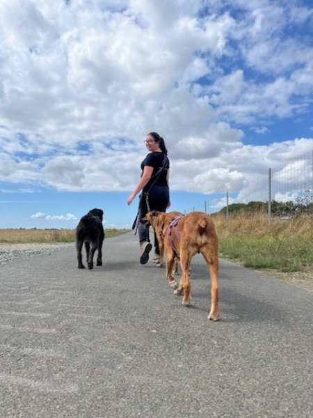 Mandy C. Toutous - Educateur et comportementaliste canin sur Niort, La Rochelle et ses alentours - photo 2
