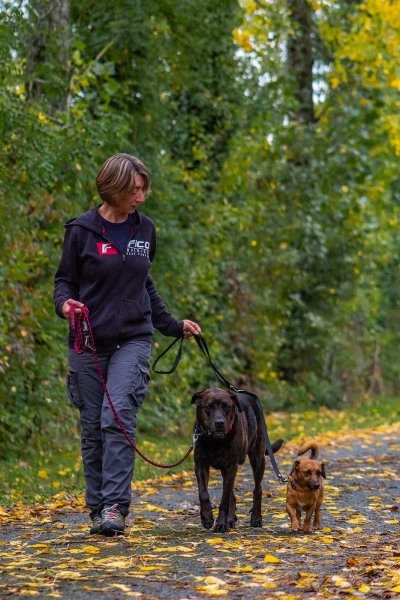 Florence Trottin - JERRI éducation canine