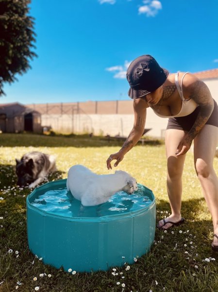 Pension chiens Les amis de Snoopy - photo 3