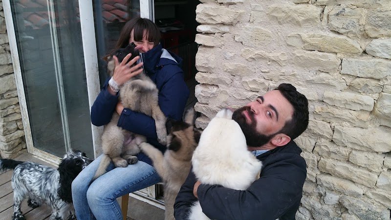 Village Canin du Grand L'ilot - photo 3