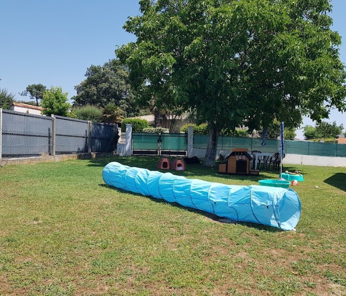 Pension familliale canine. Stéphanie Pet-Sitter. - photo 1