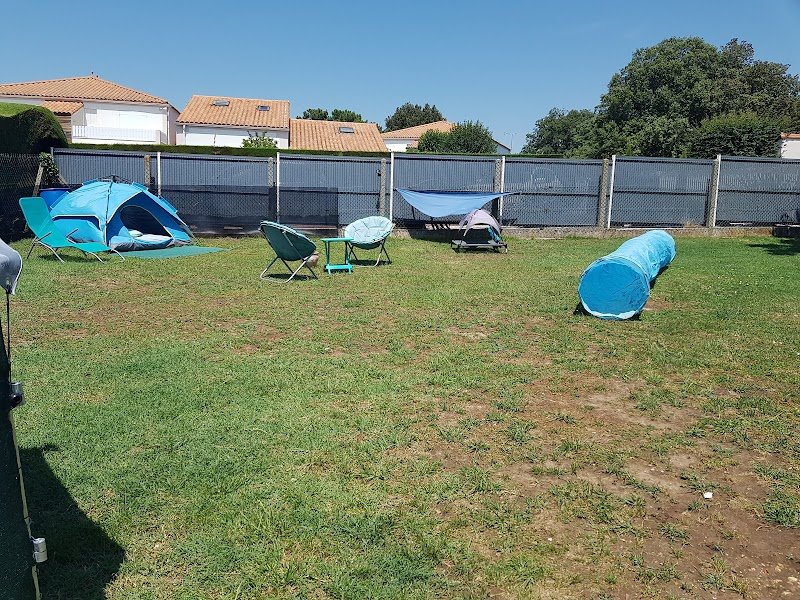 Pension familliale canine. Stéphanie Pet-Sitter. - photo 2