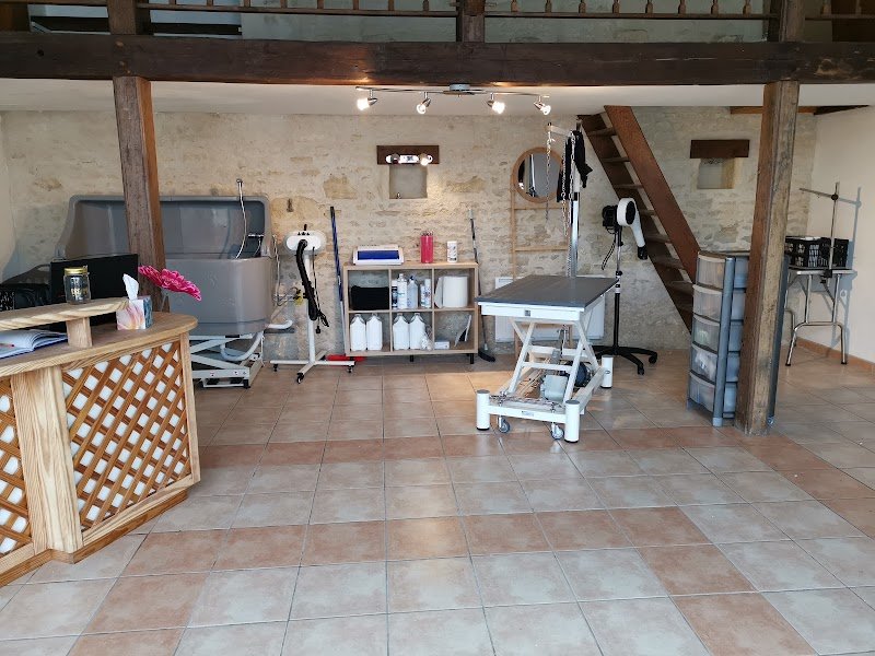 Le Studio Canin - photo 2