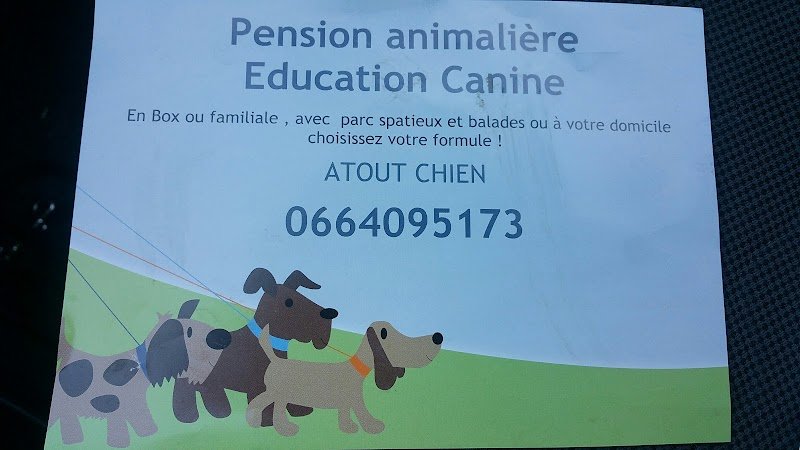 Atout chien - photo 1