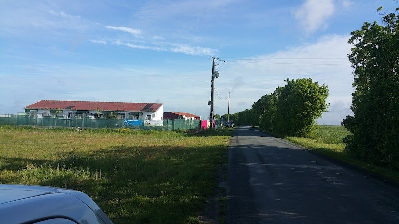 Atout chien - photo 2