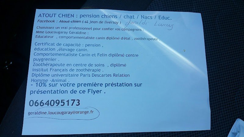 Atout chien - photo 3