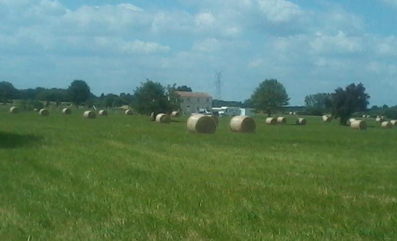 Elevage/Pension canine des Mille Fontaines - photo 2