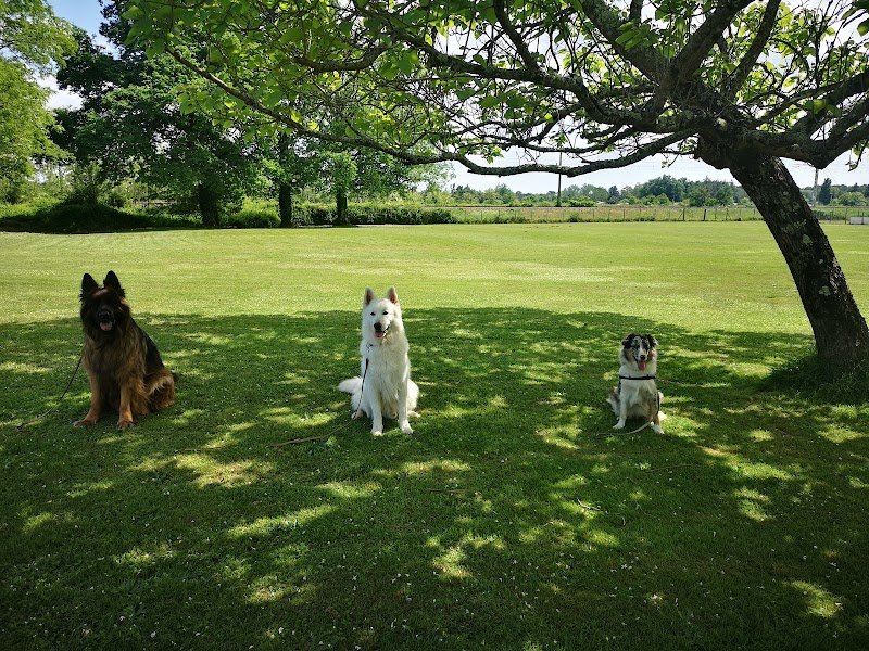 Club Canin de Saint Denis de Pile - photo 2