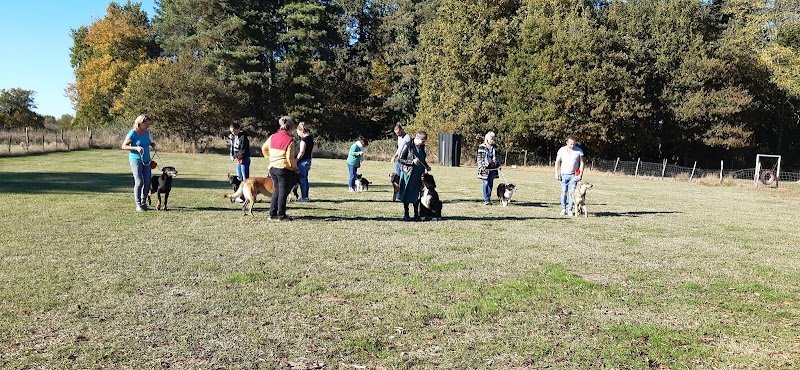 Club Canin de Saint Denis de Pile - photo 3