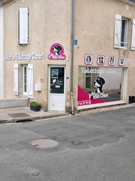 Au pontila chien - photo 1